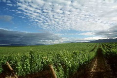 ÌÚ²©¹ÙÍø-³ÏÐÅΪ±¾,רҵ·þÎñ!