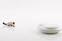 ÌÚ²©¹ÙÍø-³ÏÐÅΪ±¾,רҵ·þÎñ!